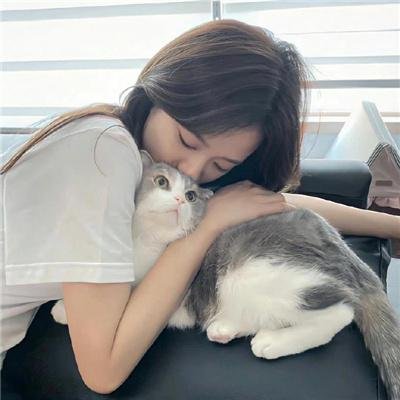 杰拉德历险记